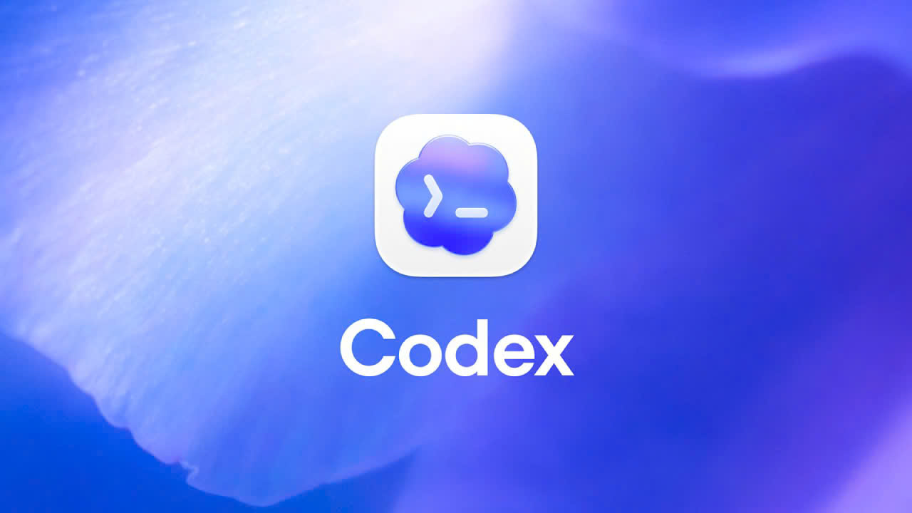 1784964071133_66037582542571559_6397861338901639940_5edd0b3eb9a2a362fad44e9398c43489-5wpbdf